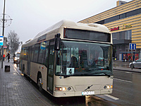 100 6445pakartotine