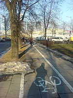 DSC00195