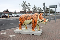 IMG 6918
