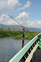 Daržai