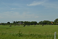 Sliedrechtas Volendamas Haga Slied 2011 05 23 099