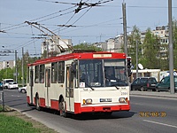 2564