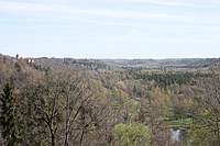 IMG 7562