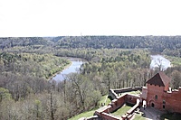 IMG 7584