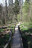 IMG 7627