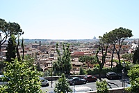 IMG 7798