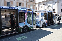 IMG 7808