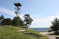 IMG 9248