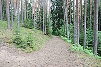 IMG 9273