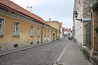 IMG 9010