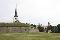 IMG 9016