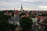 IMG 9028