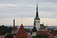IMG 9031