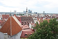 IMG 9035