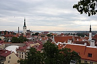IMG 9038