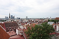 IMG 9040