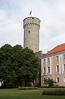 IMG 9054