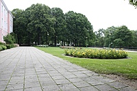 IMG 9059