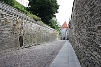 IMG 9066
