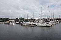 IMG 9074