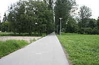 IMG 9079