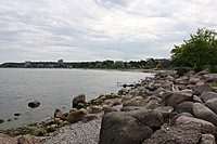 IMG 9080