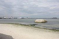 IMG 9082