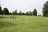 IMG 9098