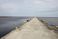 IMG 9104