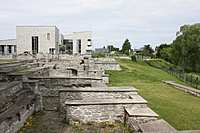 IMG 9118
