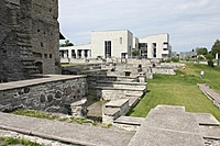 IMG 9124