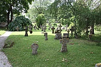 IMG 9127
