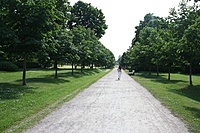 IMG 9136