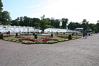 IMG 9137