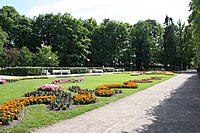 IMG 9147