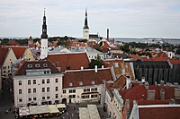 IMG 9155