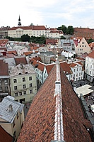 IMG 9158