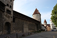 IMG 9176