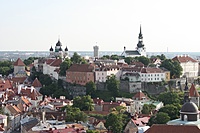 IMG 9202