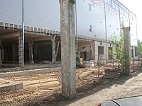Vidinis kiemas 2