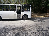 Viešasis transportas