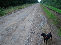 DSC06029