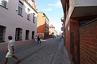 IMG 0290