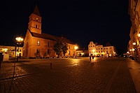 IMG 0347