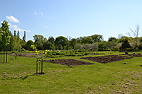 Botanikos sodas 2012 05 20 017