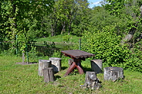 Botanikos sodas 2012 05 20 020