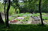 Botanikos sodas 2012 05 20 022