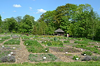 Botanikos sodas 2012 05 20 042