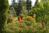 Botanikos sodas 2012 05 20 058