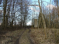 DSCF3430